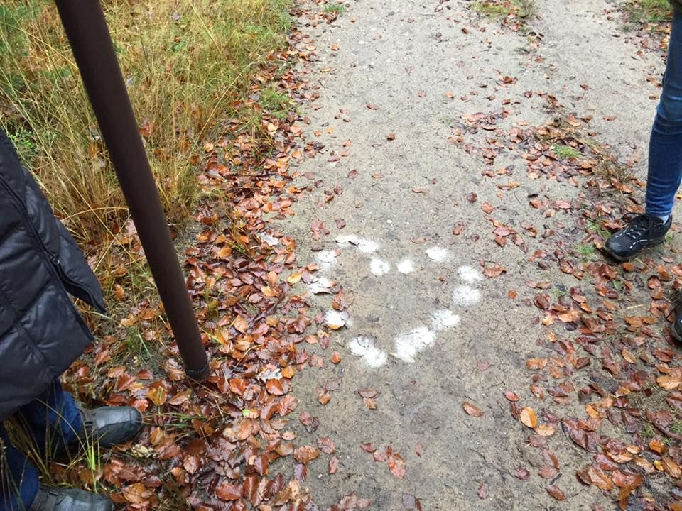 Tolad Green Walking Stick Scattering Urn